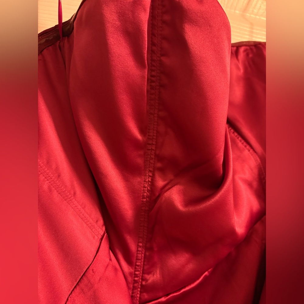 Sau lee Strapless Burgundy Gown - Picture 7 of 9